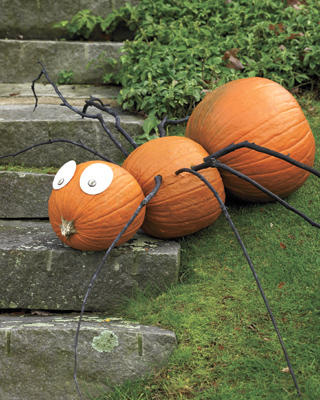 No Carve Spider Pumpkin
