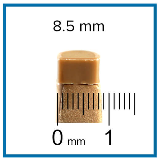 measuring heel tip width with ruler