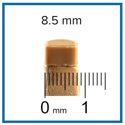 heel tip sizes