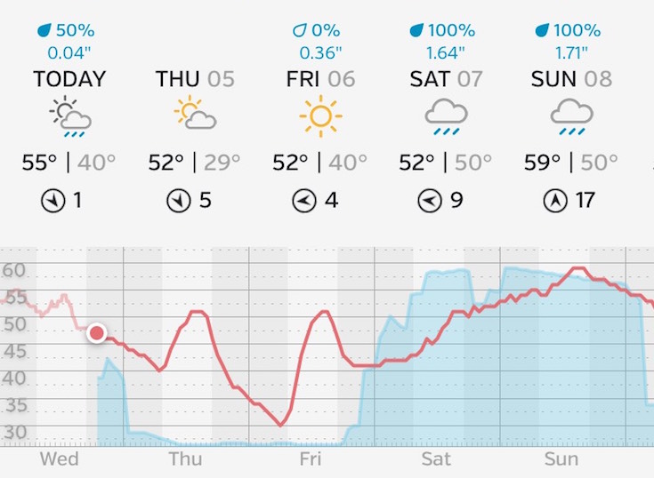 weather forecast for wedding day